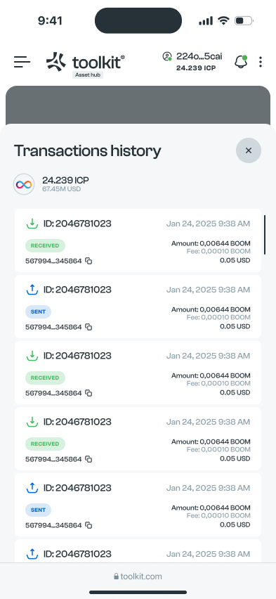 Asset hub · Mobile transaction history