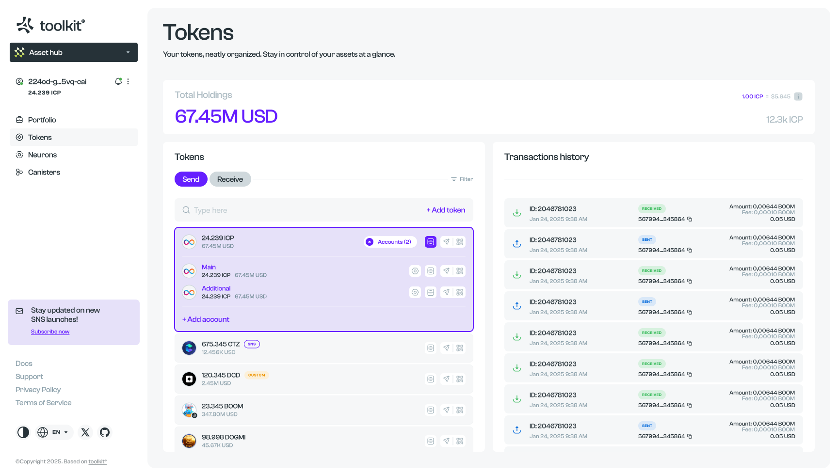 Asset hub · Token balances and transaction history