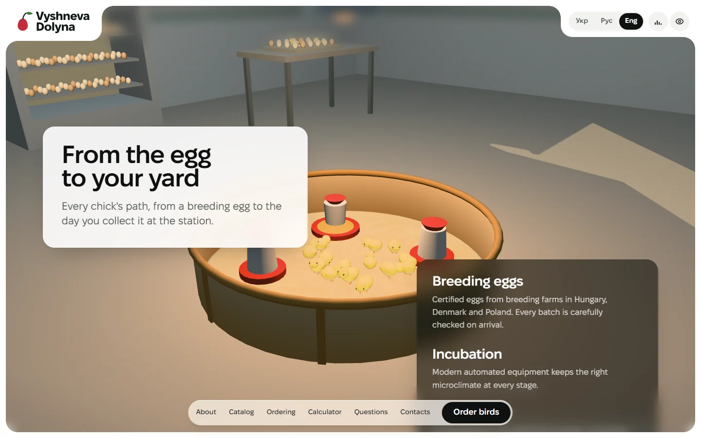 Vyshneva Dolyna — the hatchery: the brooder under its heat lamp, a chick’s path beside it